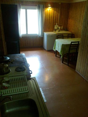 a kitchen with a stove and a table in it at Jõeniidu Holiday House in Trolla