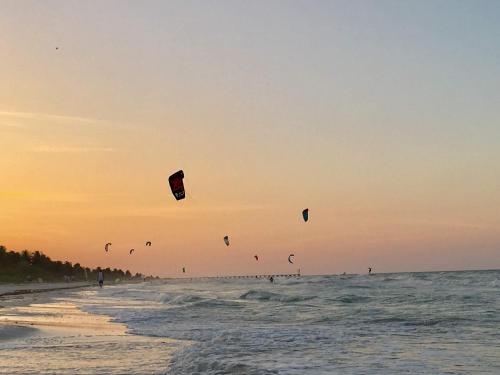 a group of people flying kites on the beach at LunArena Barefoot Comfort in El Cuyo