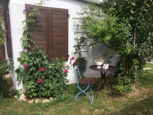 a table and chair in front of a house with roses at Haus Vicus in Greifswald