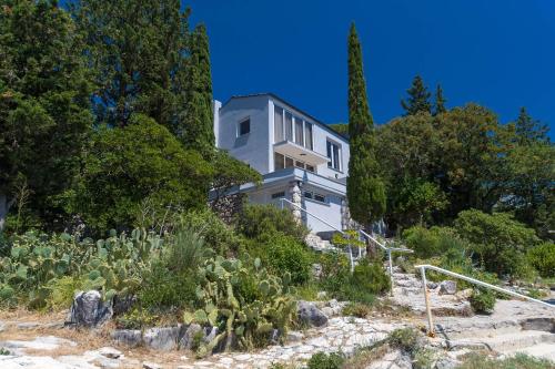 a white house on a hill with plants and trees at Mitan Accommodation in Novi Vinodolski