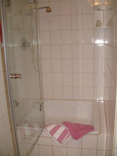 Bilik mandi di Ferienwohnungen Ströhlein