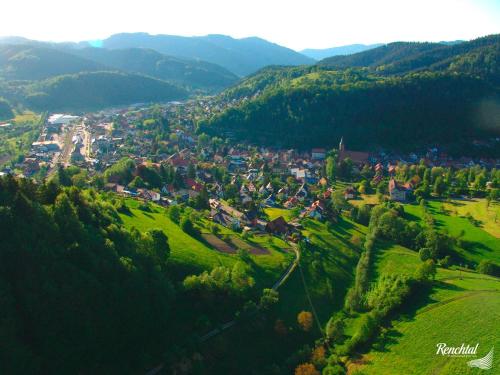 a small town in the middle of a green valley at Hotel Restaurant Rebstock in Oppenau