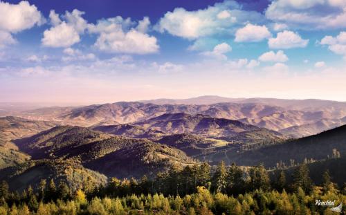 a view of a mountain range with trees and mountains at Hotel Restaurant Rebstock in Oppenau