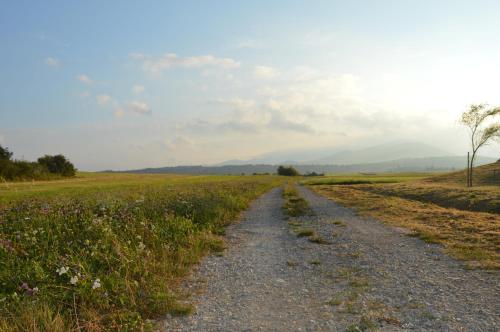 a dirt road in the middle of a field at MAPLE place in Pivka