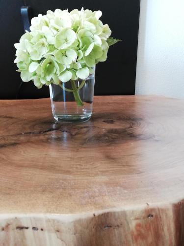 a vase of white flowers sitting on a wooden table at MAPLE place in Pivka