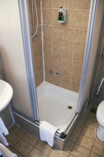 a bathroom with a shower with a toilet and a sink at Hotel Berliner Hof in Düsseldorf