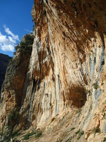 a rocky mountain with trees on the side of it at Leonidio Climb2red home in Leonidion