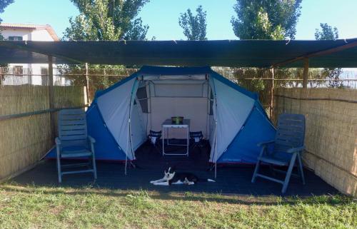 a cat laying on the ground under a tent at Capalbio Campeggio Rurale in Capalbio