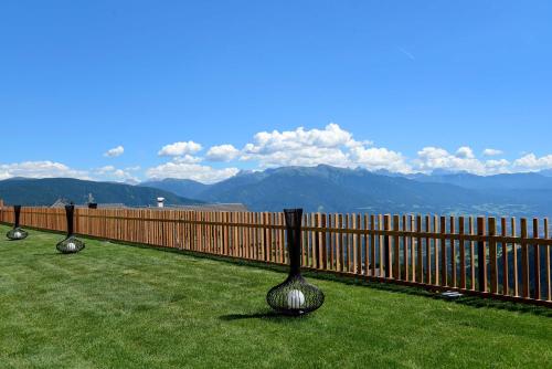 a fence with three golf balls sitting on the grass at Tratterhof Mountain Sky Hotel in Maranza