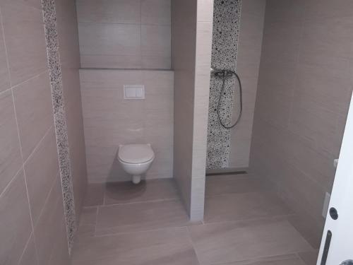 a bathroom with a toilet and a shower at Apartments Akacijev Izvir in Miklavž na Dravskem Polju