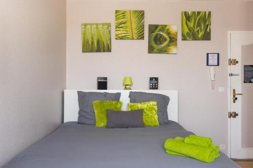 ミュルーズにあるTravel Homes - Le Wilson, face à la gareのベッドルーム1室(緑の枕が付くベッド1台付)