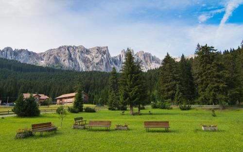 a group of benches in a field with mountains at Residence Grand Hotel Carezza in Nova Levante