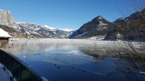a frozen lake with ducks on the water and mountains at Ferienwohnung Haus Cerny in Bad Goisern