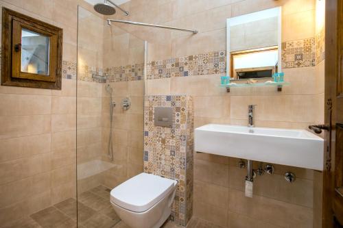 y baño con aseo, lavabo y ducha. en Arsinoi Stonehouses, en Limenaria