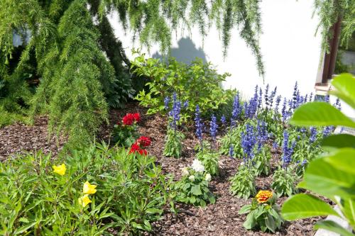 a garden with colorful flowers and plants at Hotel Thaler in Rietz