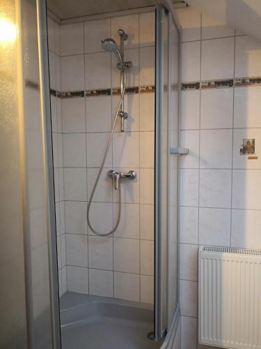 a bathroom with a shower with a glass door at Ferienwohnung Schmeisser in Kirchenpingarten