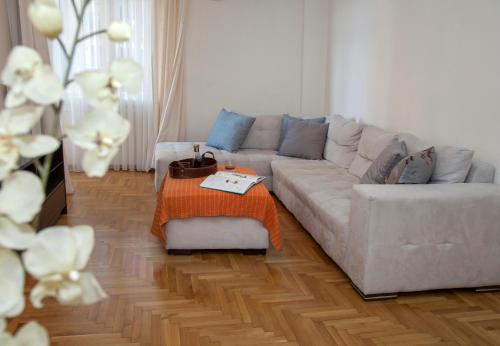 Χώρος καθιστικού στο Edem BeachFront SeaView Dream Home In Beautiful Athens Riviera in Palaio Faliro