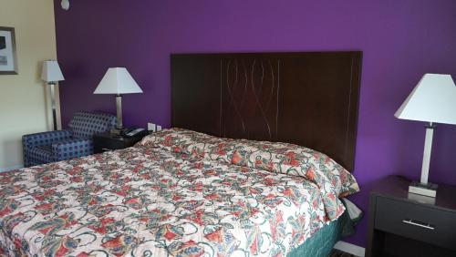 a bedroom with a bed and a purple wall at Village Motor Inn in Austin
