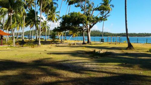 a group of palm trees on a beach with the water at Pousada Igrejinha dos Carneiros in Tamandaré
