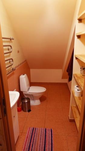 a bathroom with a toilet and a sink at Raudonkalnis in Mankiškiai