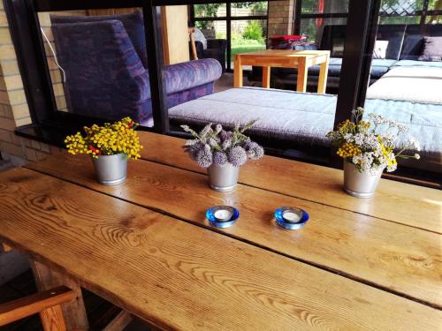 a wooden table with three plants on top of it at Raudonkalnis in Mankiškiai