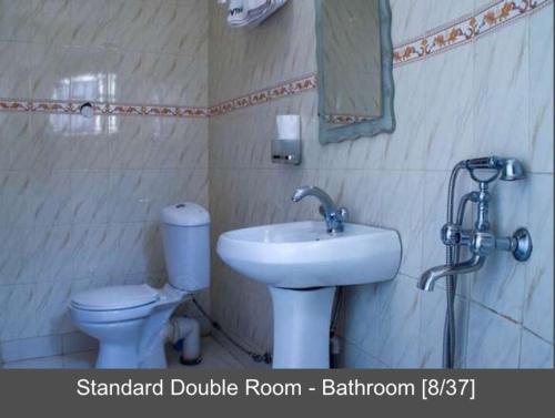 a bathroom with a sink and a toilet and a mirror at Palace Hotel in Mbarara