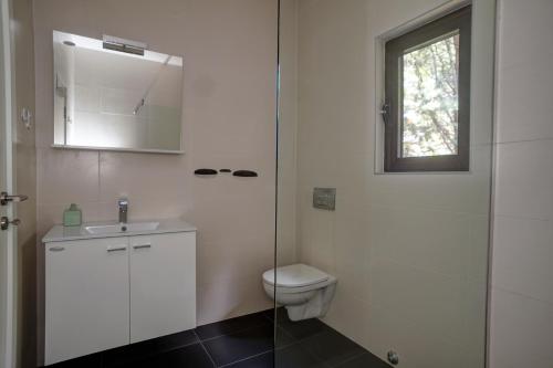 a bathroom with a toilet and a glass shower at Apartments Minja Nerin in Petrovac na Moru