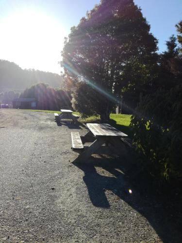 two picnic benches sitting on the side of a road at JunoHall Backpackers in Waitomo Caves