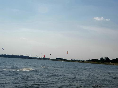 a group of kites flying over a body of water at Heu-Ferienhof Altkamp in Putbus