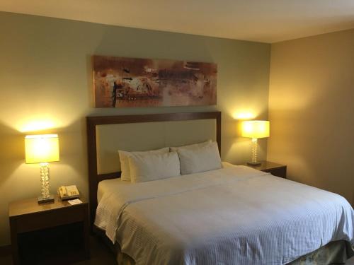 a bedroom with a large bed with two lamps at Antaris Valle in Monterrey