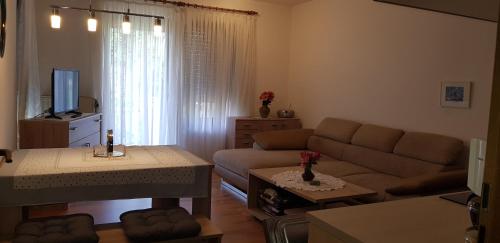 ein Wohnzimmer mit einem Sofa und einem TV in der Unterkunft Haus Schneider in Winterberg