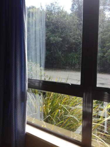 a window view of a garden with a waterfall at JunoHall Backpackers in Waitomo Caves