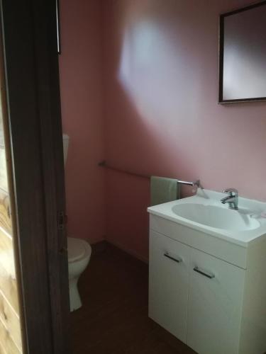 a bathroom with a sink and a toilet at JunoHall Backpackers in Waitomo Caves