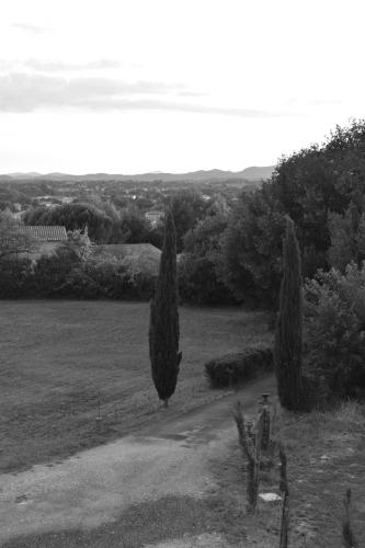 a black and white photo of a field with two trees at Mas d'Asvin & Spa in Saint-Christol-lès-Alès