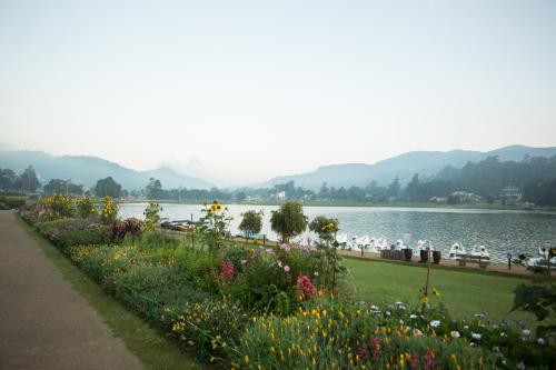 a park with flowers and a body of water at Heaven Seven Nuwara Eliya in Nuwara Eliya