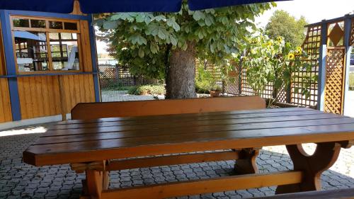 a wooden bench sitting in front of a tree at Gasthof Paradiesgartl in Kleinpöchlarn