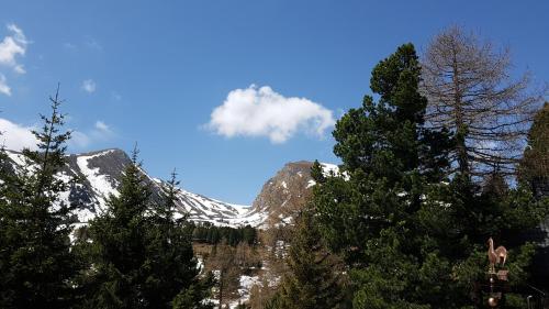 a snow covered mountain with trees in front of it at Erlebnis - Hütten Falkert by S4Y in Patergassen