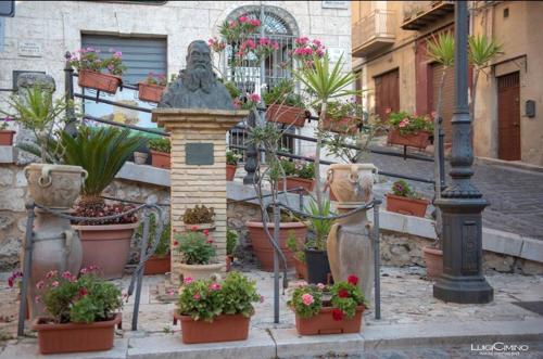 a bunch of potted plants in pots on a street at Beatus Suites And Rooms B&B in Canicattì