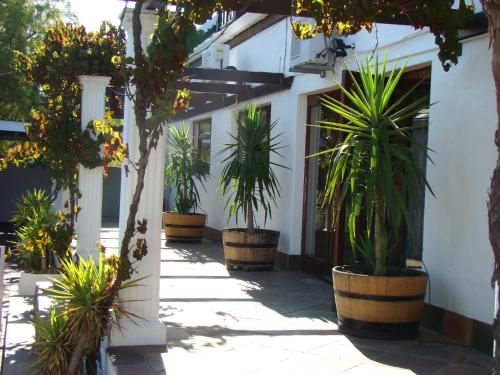 a group of potted plants in front of a building at Panorama Self Catering 2 in Panorama