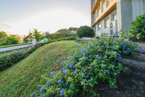 a field of blue flowers in front of a building at Hotel Topaz in Kandy
