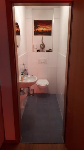 a bathroom with a toilet and a sink at Ferienwohnung Lochenblick in Balingen