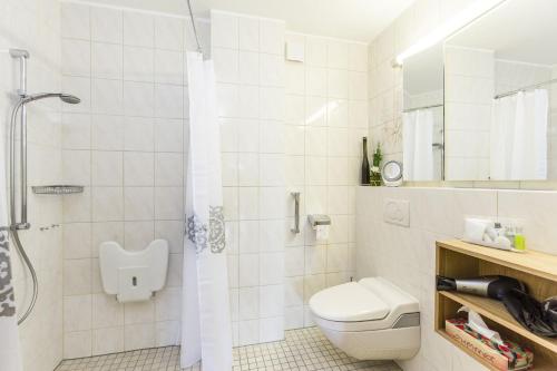 ein weißes Bad mit einem WC und einer Dusche in der Unterkunft Sonjas Himmel in Höchenschwand