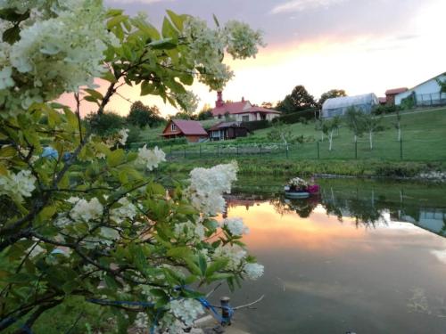 - une vue sur un étang avec des fleurs blanches dans l'établissement Griežto 5, à Zarasai