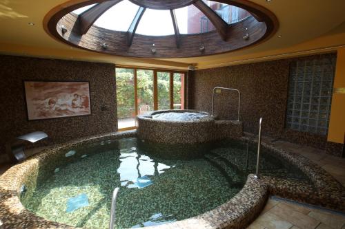 Bazén v ubytování Wellness Hotel Laroba nebo v jeho okolí