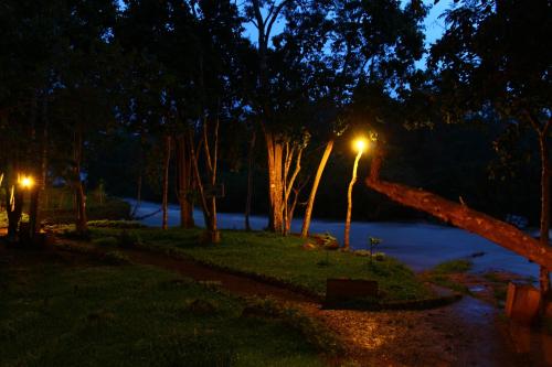 a street light next to a river at night at Tadlo Lodge in Ban Nongtoung