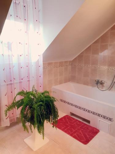 a bathroom with a bath tub and a plant at Thomas Apartman Eger in Eger