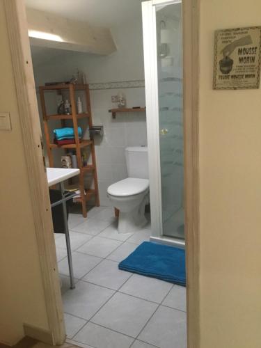 a bathroom with a toilet and a glass shower at Les Lauriers in Camps-la-Source