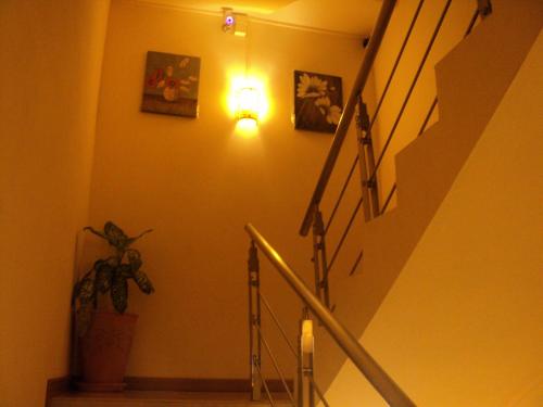 a hallway with a staircase with a light and a plant at Monalysa St Honore Apartment & Studios Grand Bay in Grand Baie