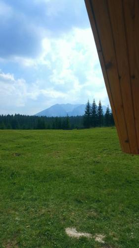 Gallery image of Homestay Djerkovic in Žabljak