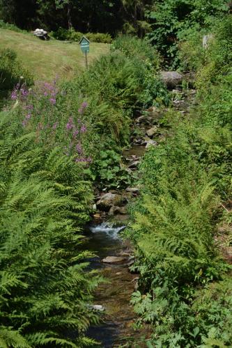 a stream in a field with grass and flowers at Gasthof Thomas Müntzer in Steinheid